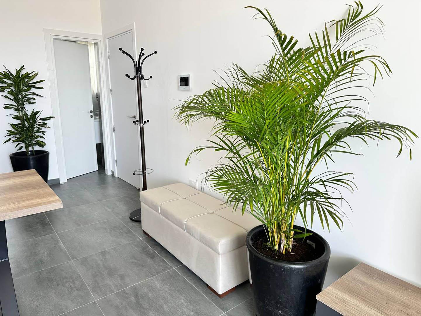 New Two-bedroom apartment close to the sea — photo 18 of 25