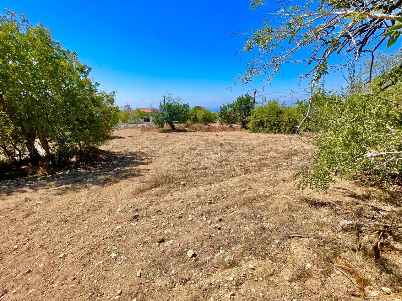 Plot with Trees and Building Potential — photo 3
