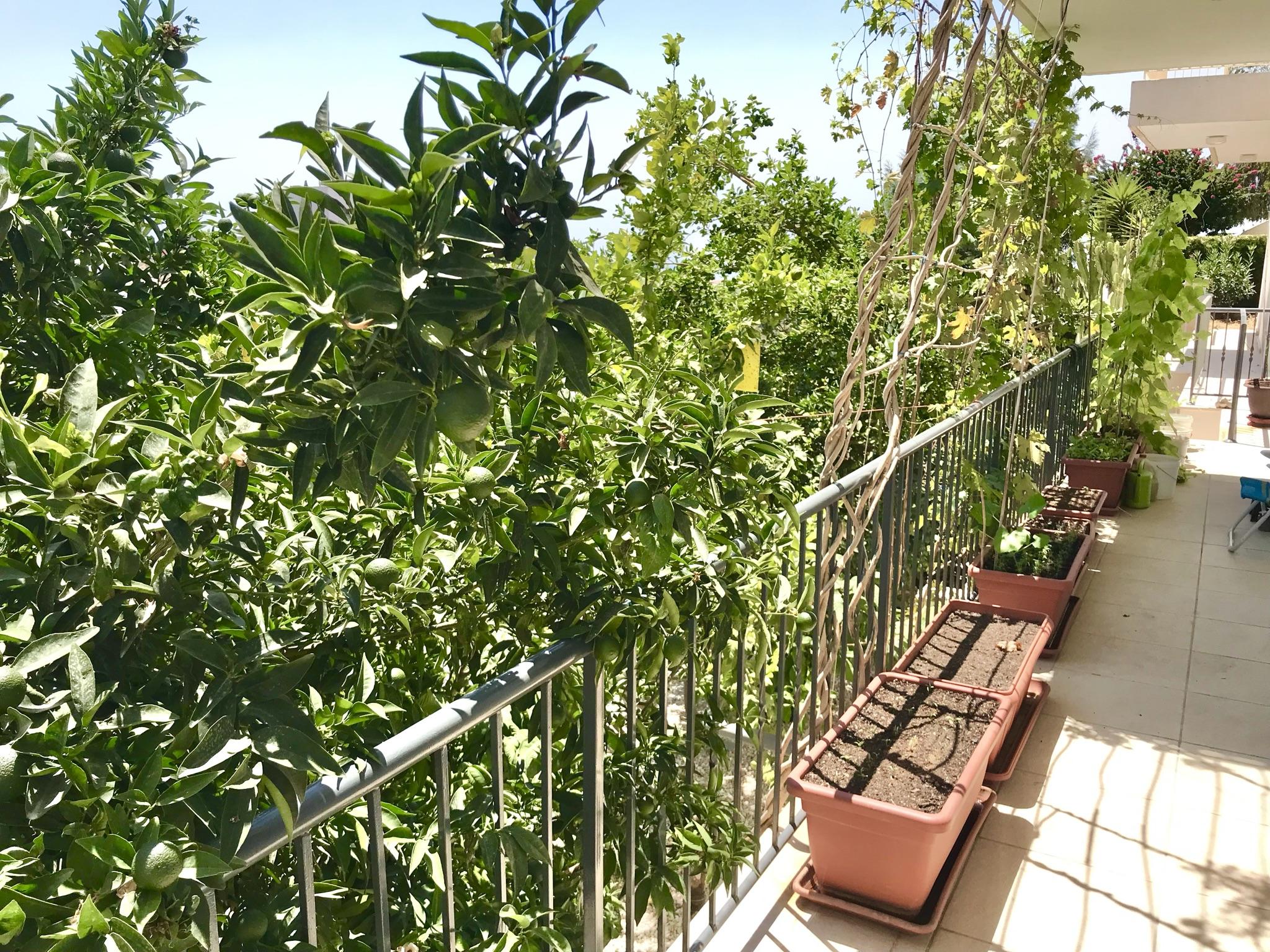 Splendid 3 Bedroom Villa Sea Views — photo 12 of 14