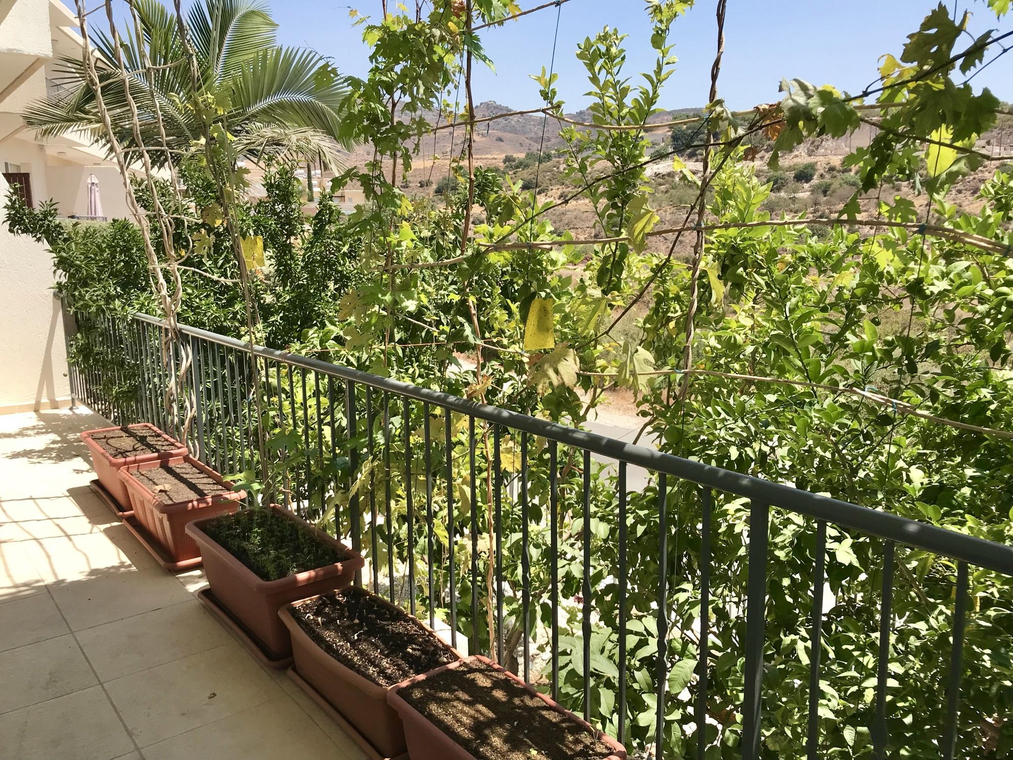 Splendid 3 Bedroom Villa Sea Views — photo 11 of 14