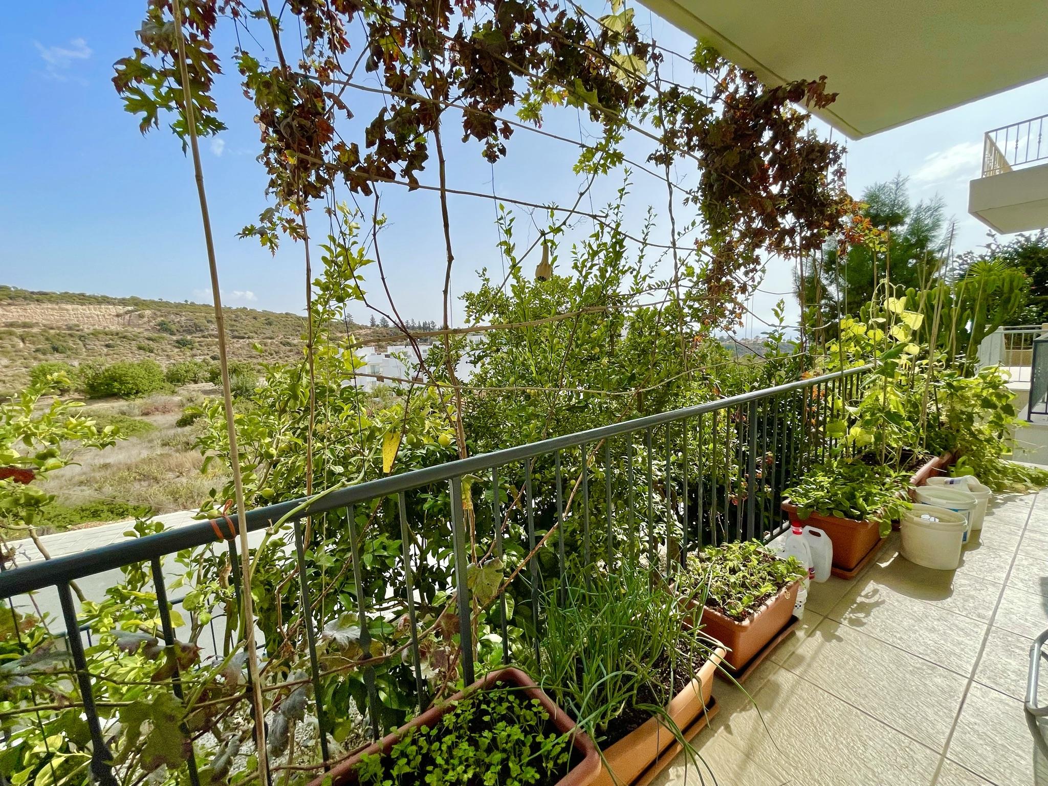 Splendid 3 Bedroom Villa Sea Views — photo 14 of 14