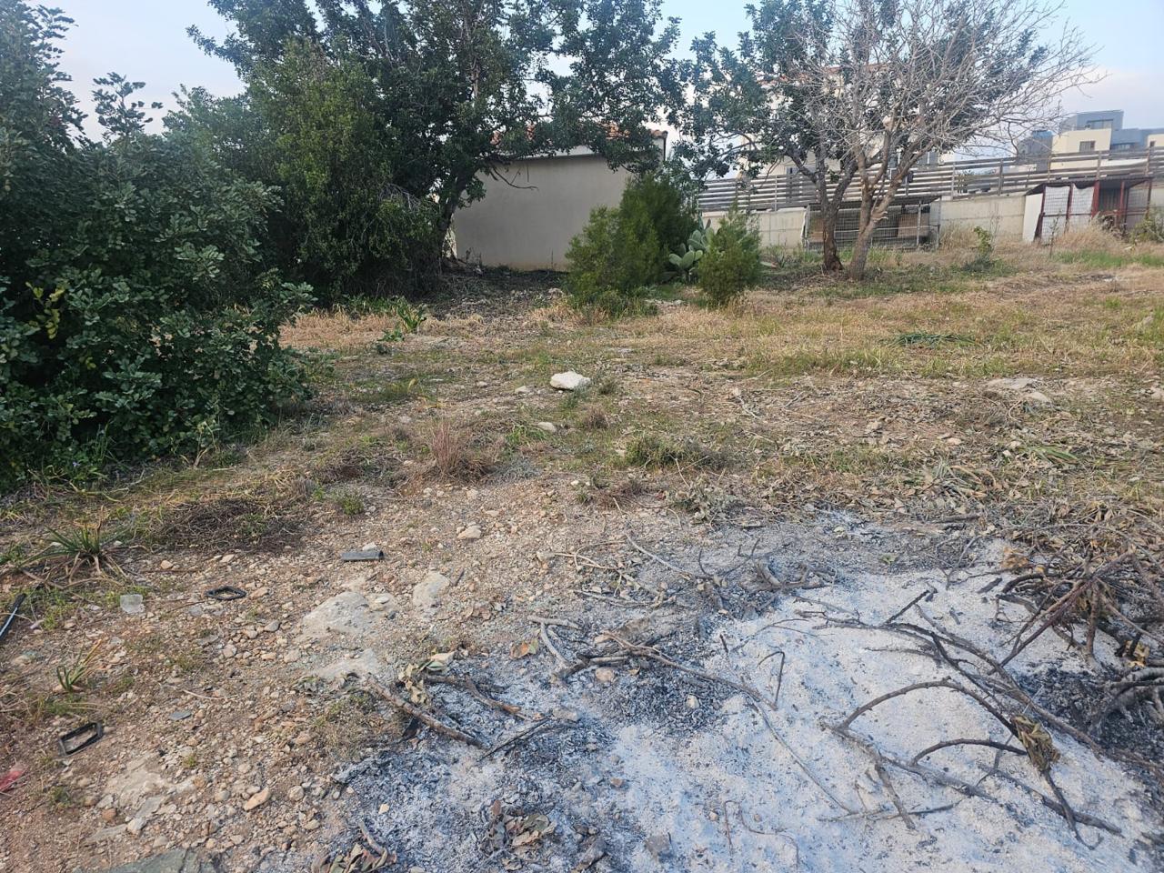 Plot of land with mature trees in residential zone Ka8 — photo 7 of 7