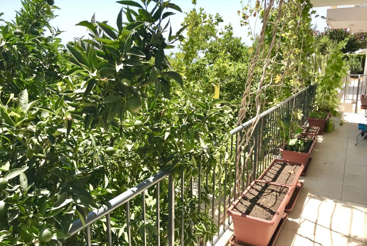 Splendid 3 Bedroom Villa Sea Views — photo 5 of 13
