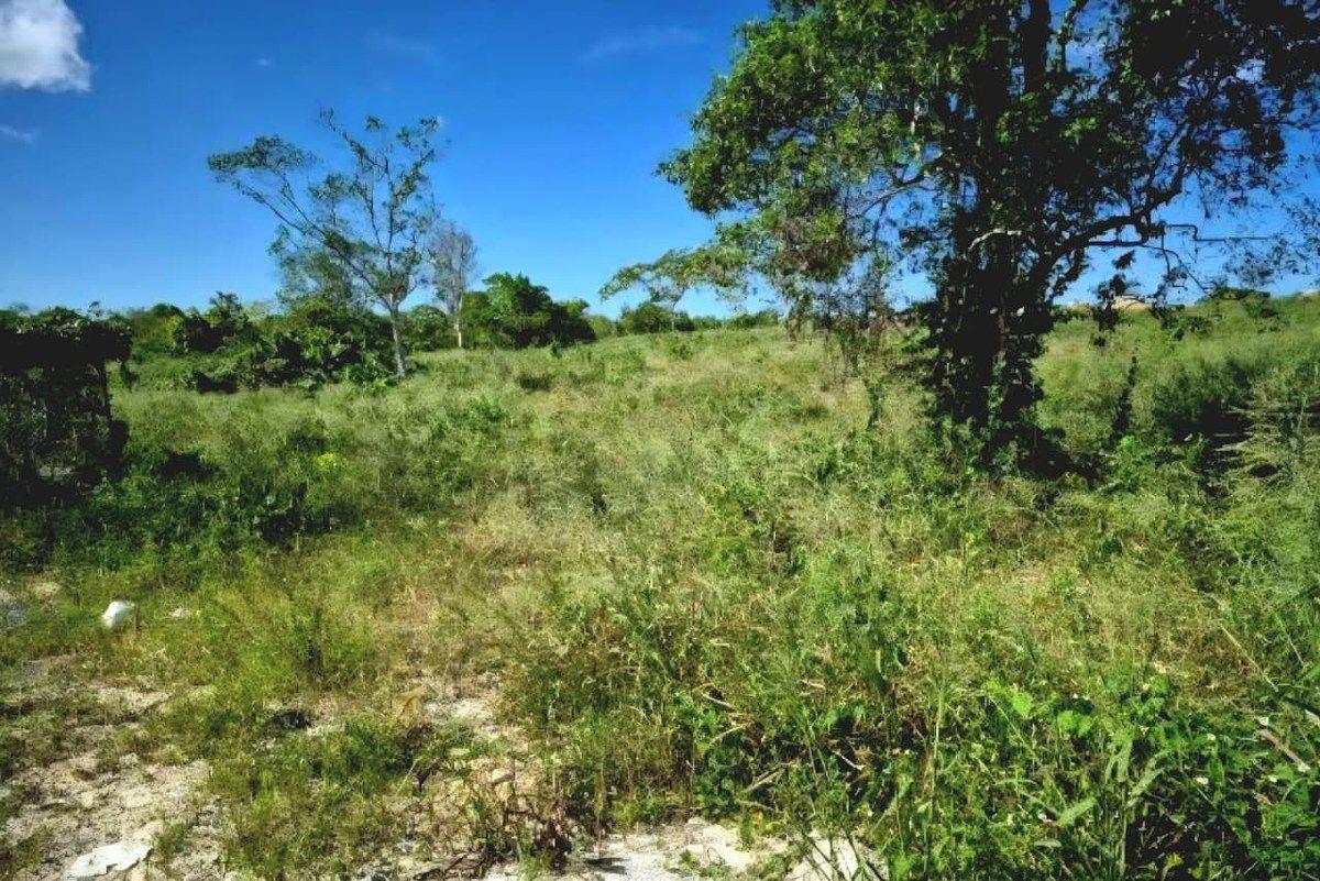 Property in Bavaro — main photo