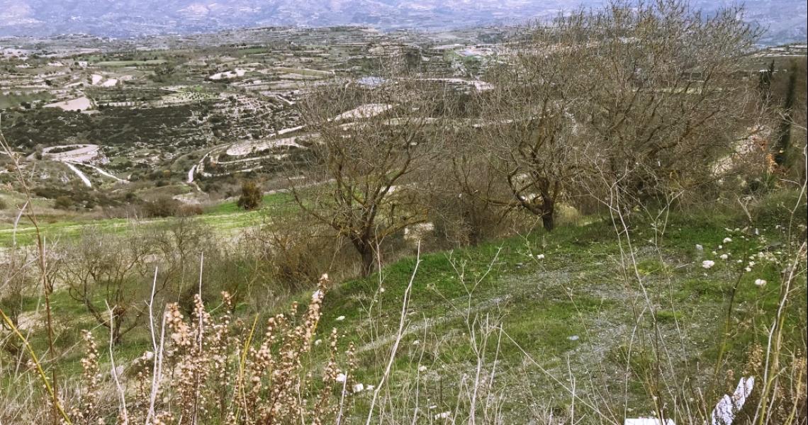 Minthis Hills Golf Plot of land for Sale — photo 2