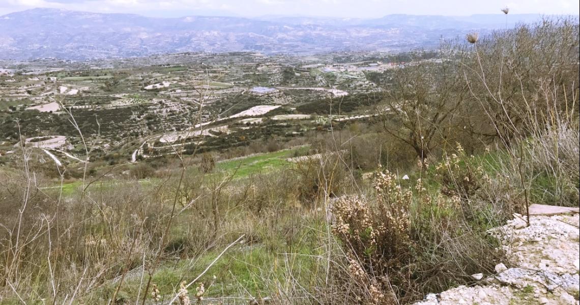 Minthis Hills Golf Plot of land for Sale — photo 3