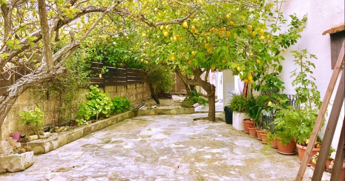 3-Bedroom Village Villa, Kritou Tera — photo 2