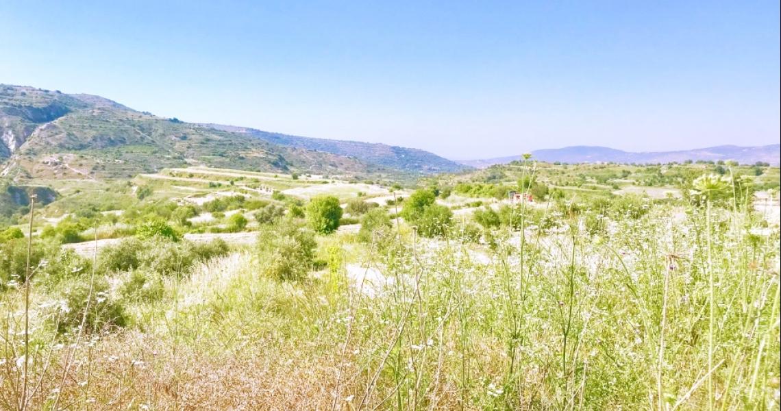 4-Bedroom Early stage shell for sale with views — photo 4