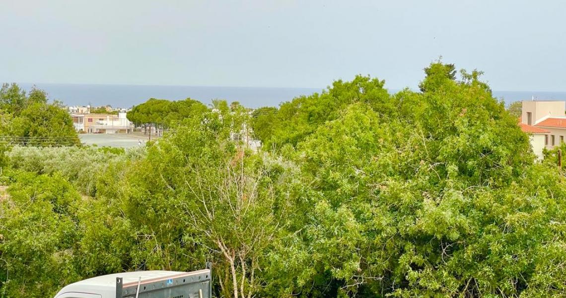 NEW house in Petridia, Emba — photo 4