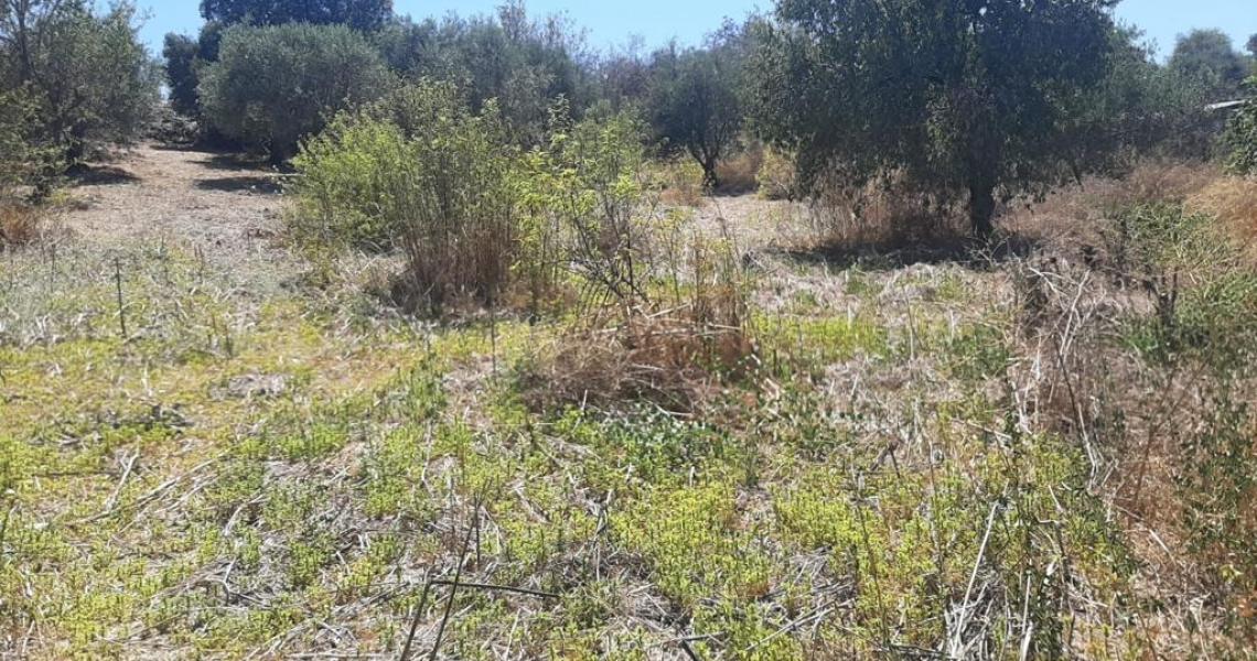 1,100m Large Plot Panoramic views Letymbou **REDUCED** — photo 2