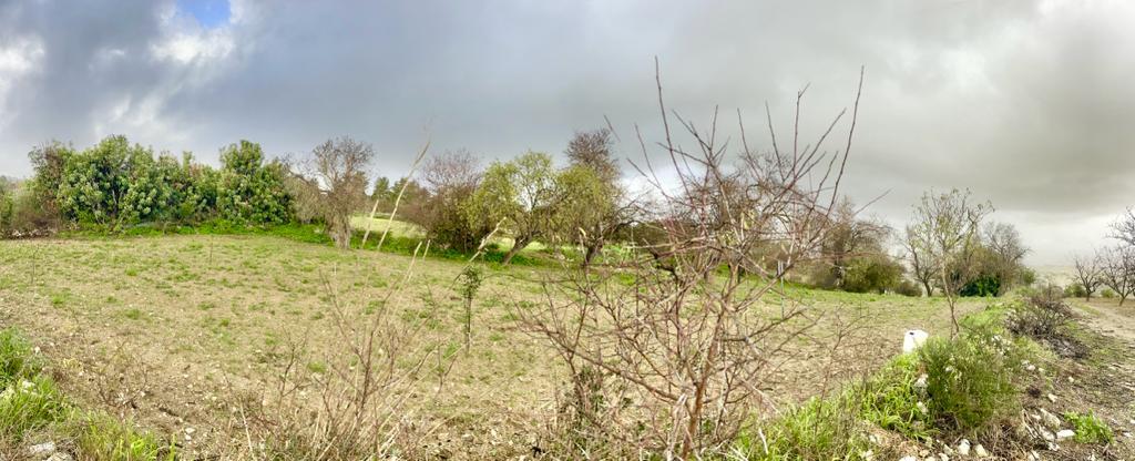 Huge plot of land with incredible views across the valleys — photo 4