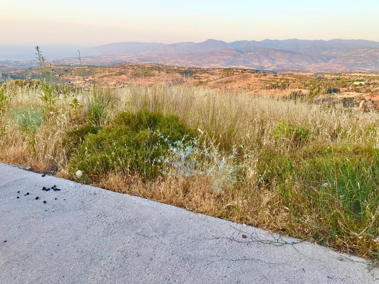 REDUCED Sea View plot with perfect serenity, 10% build — photo 3