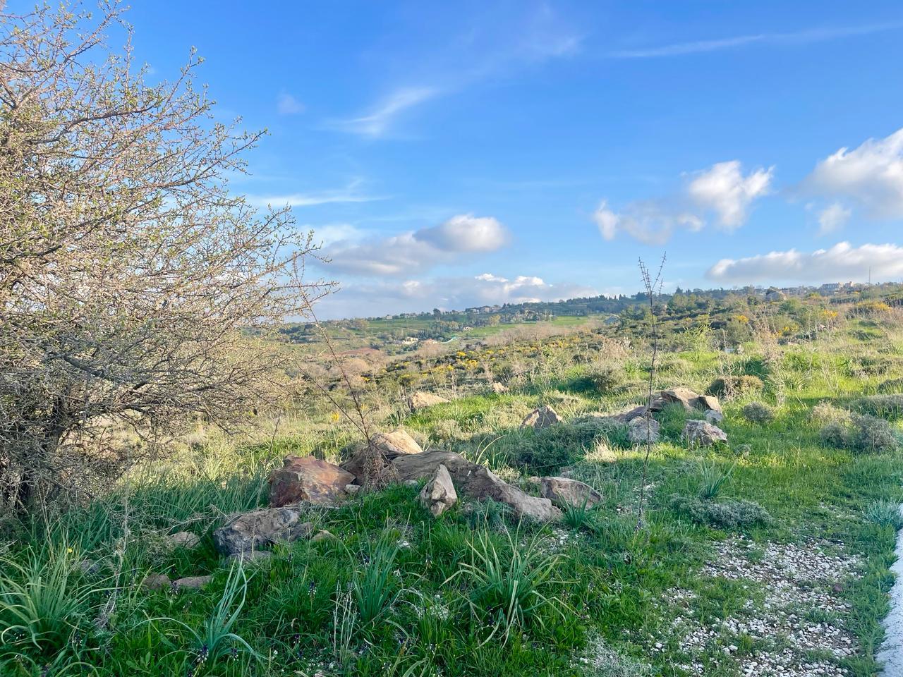 REDUCED Sea View plot with perfect serenity, 10% build — photo 5