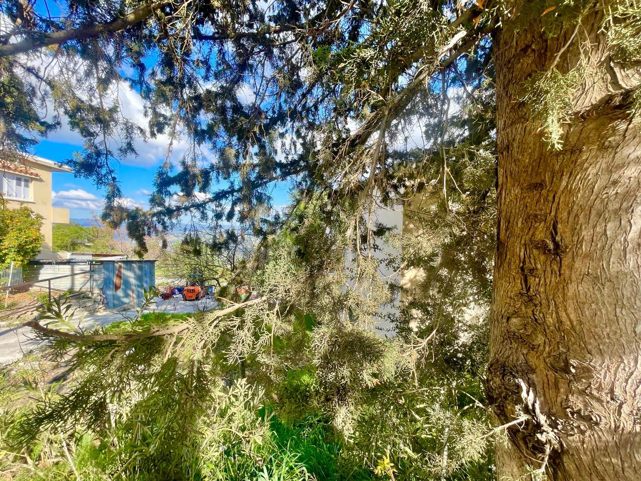 Village house with basement for restoration and glorious view — photo 3