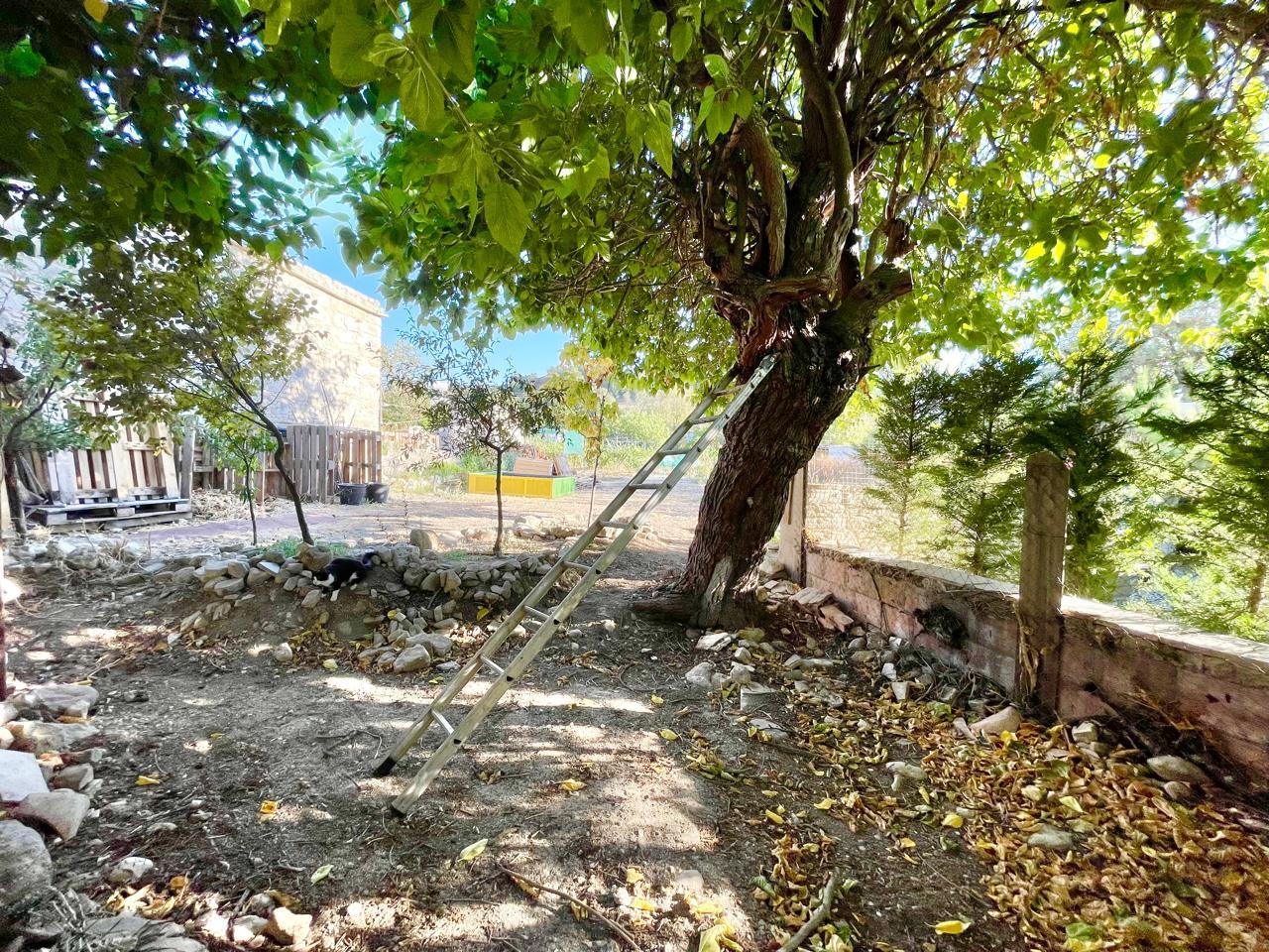 Great renovation option with Government grants — photo 5