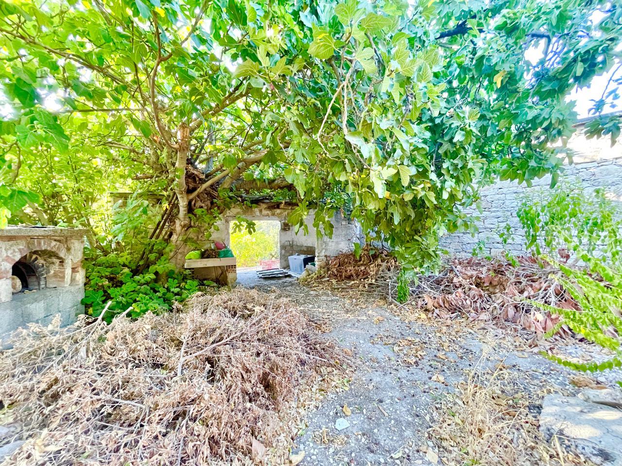 Great renovation option with Government grants — photo 4
