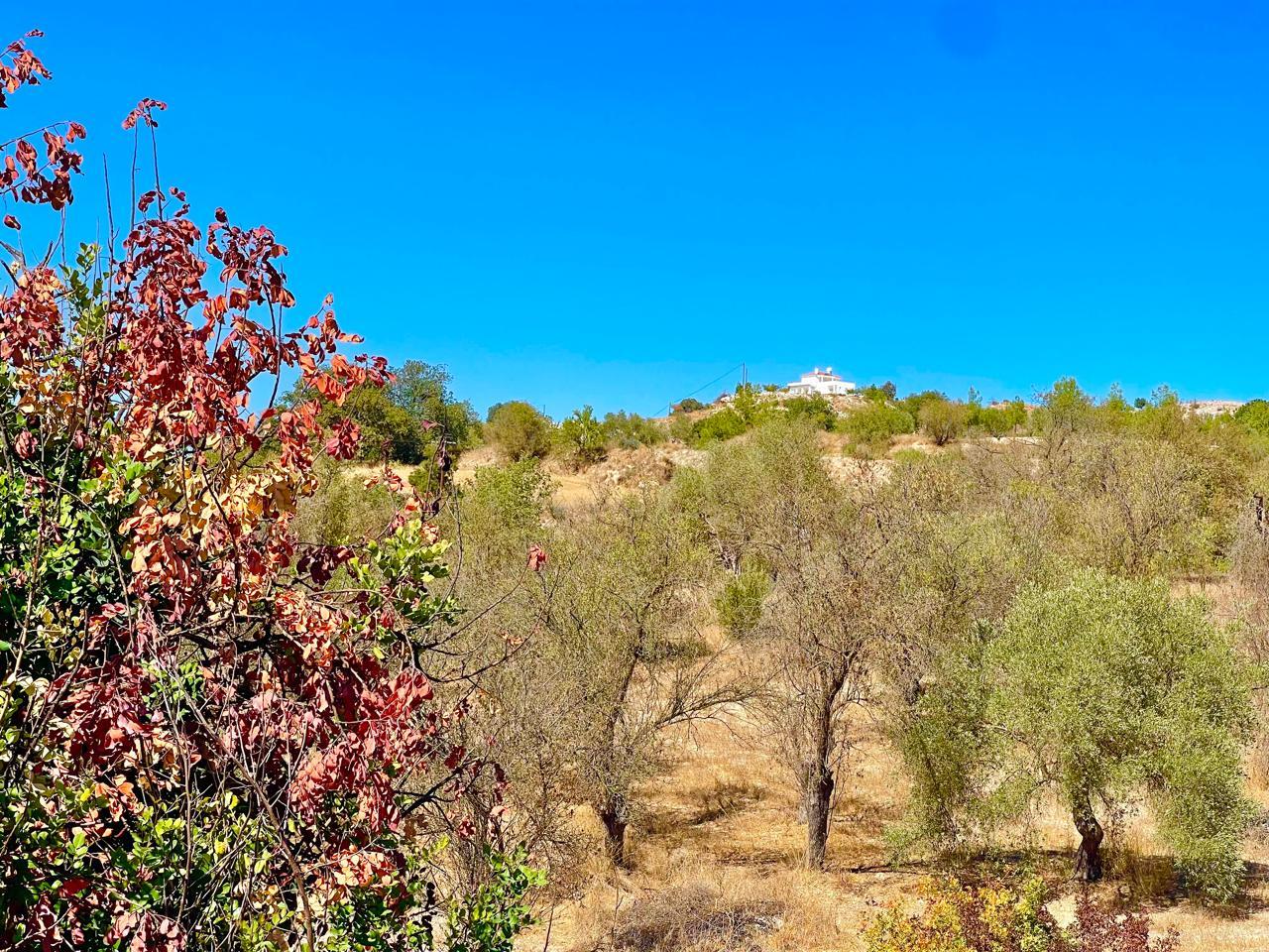 Agricultural plot with fantastic views and opportunities — main photo