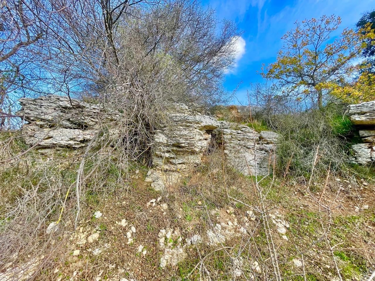 House for Full Renovation with Exceptional Potential — photo 5