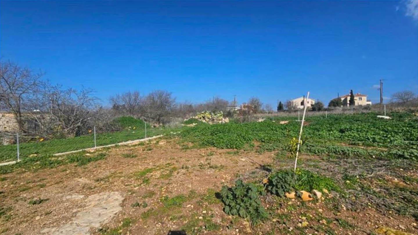 2-bedroom bungalow with a vast 3,300 m2 plot — photo 4