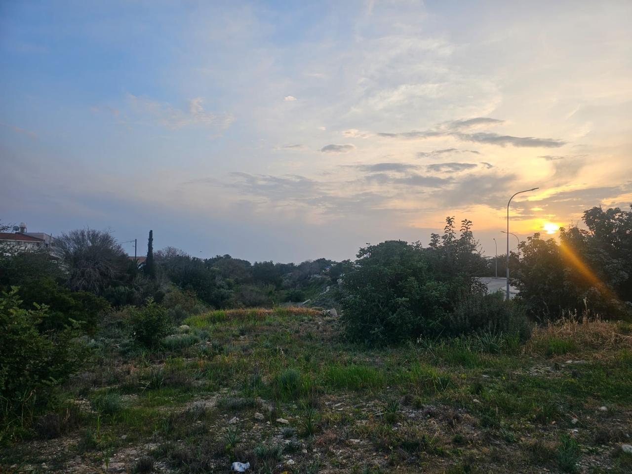 Plot of land with mature trees in residential zone Ka8 — photo 2