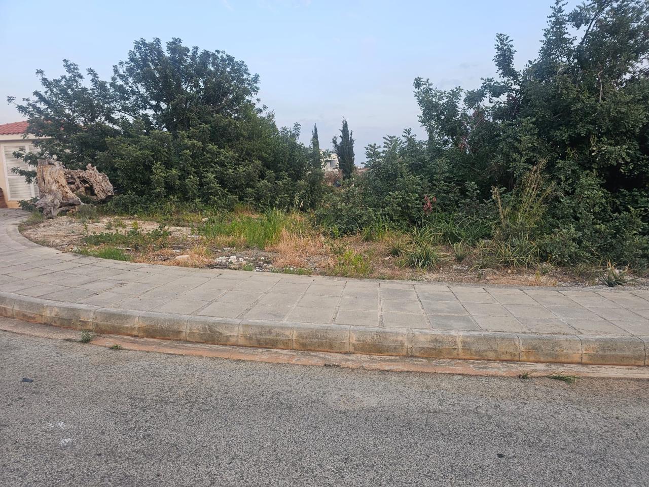 Plot of land with mature trees in residential zone Ka8 — photo 4