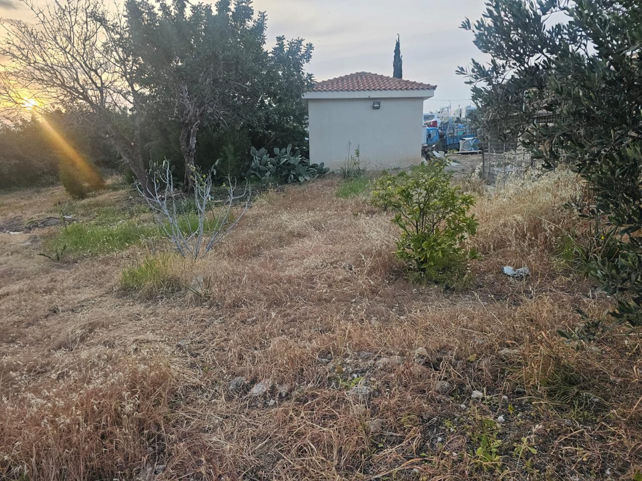 Plot of land with mature trees in residential zone Ka8 — photo 6