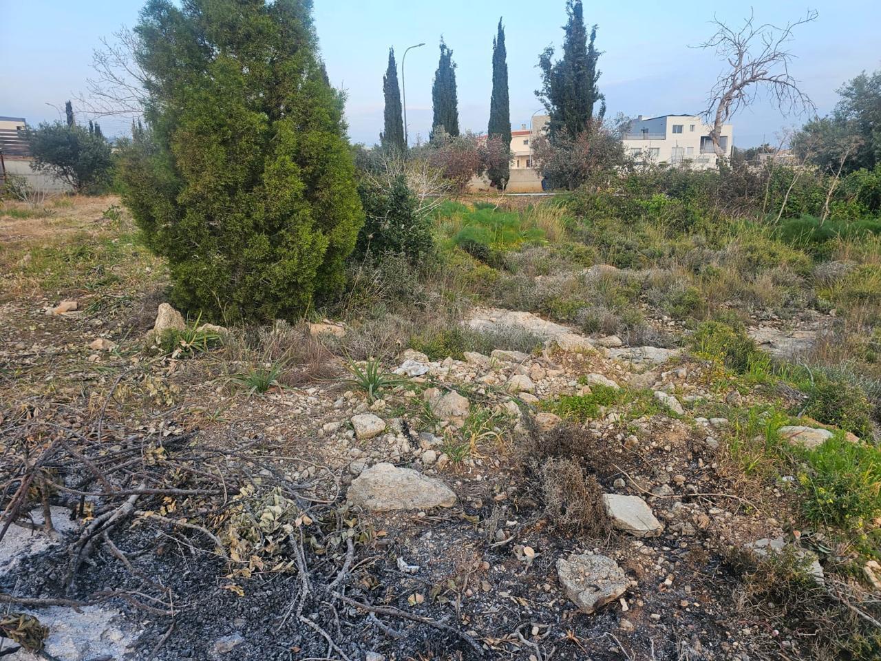 Plot of land with mature trees in residential zone Ka8 — photo 5