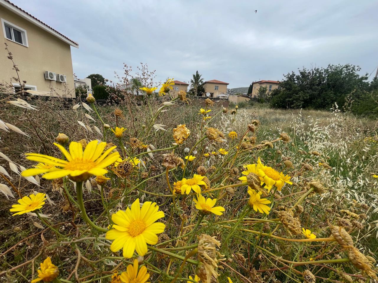 552 sq.m. plot of land with beautiful views of the Cypriot surroundings — main photo