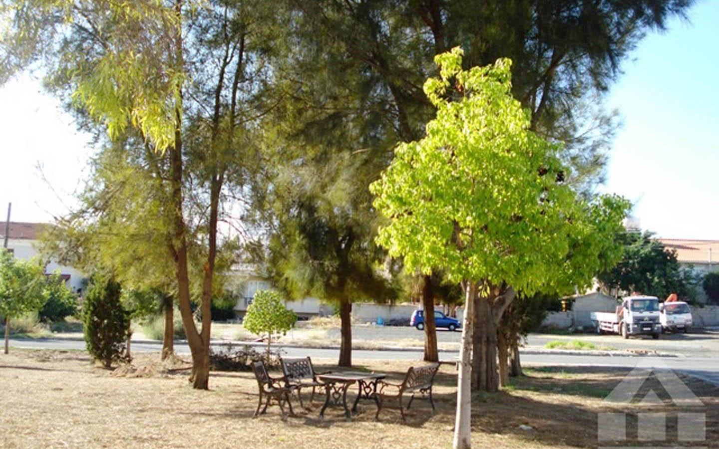3-Bedroom Apartment Opposite a Green Area — photo 4